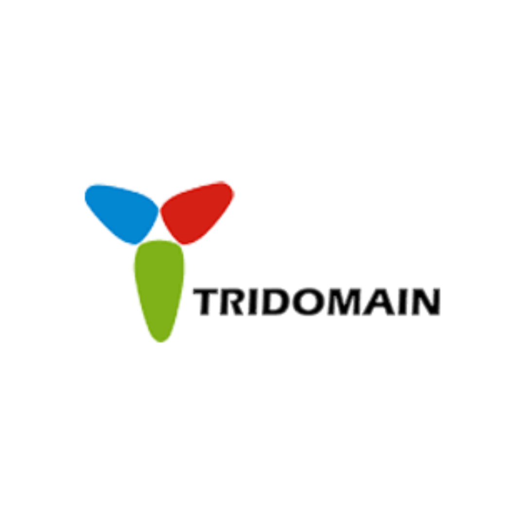 PT Tridomain Chemicals
